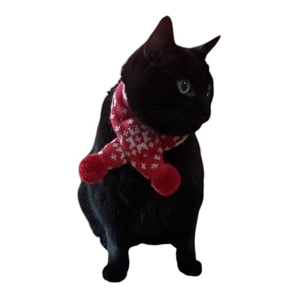 Cat Christmas Snowflake Scarf & Hat Set Costume for Small Pets Puppy, Red Small - Picture 1 of 9